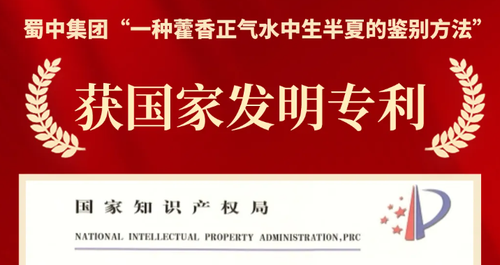 w88win优德(中国)官方网站