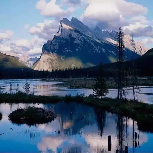 w88win优德(中国)官方网站